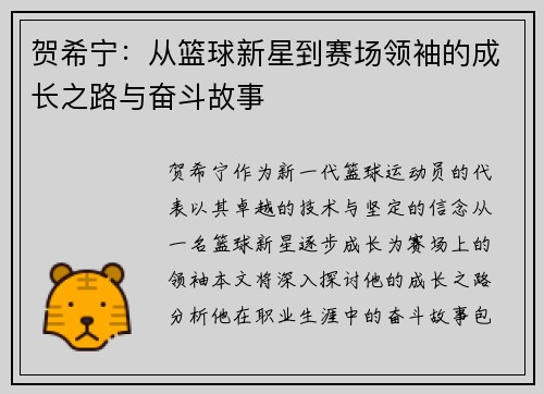 贺希宁：从篮球新星到赛场领袖的成长之路与奋斗故事