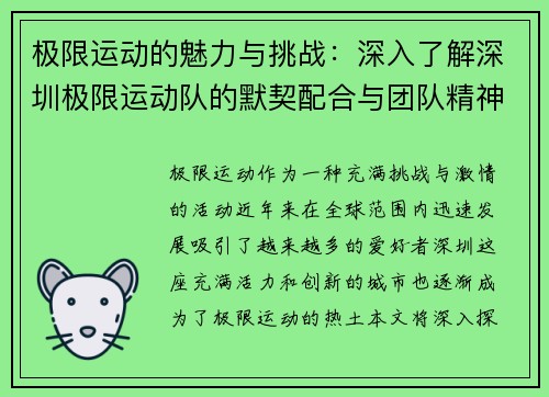 极限运动的魅力与挑战：深入了解深圳极限运动队的默契配合与团队精神