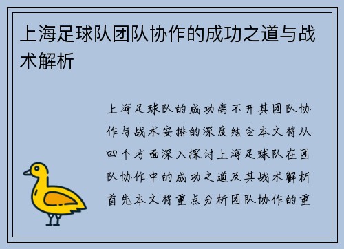 上海足球队团队协作的成功之道与战术解析